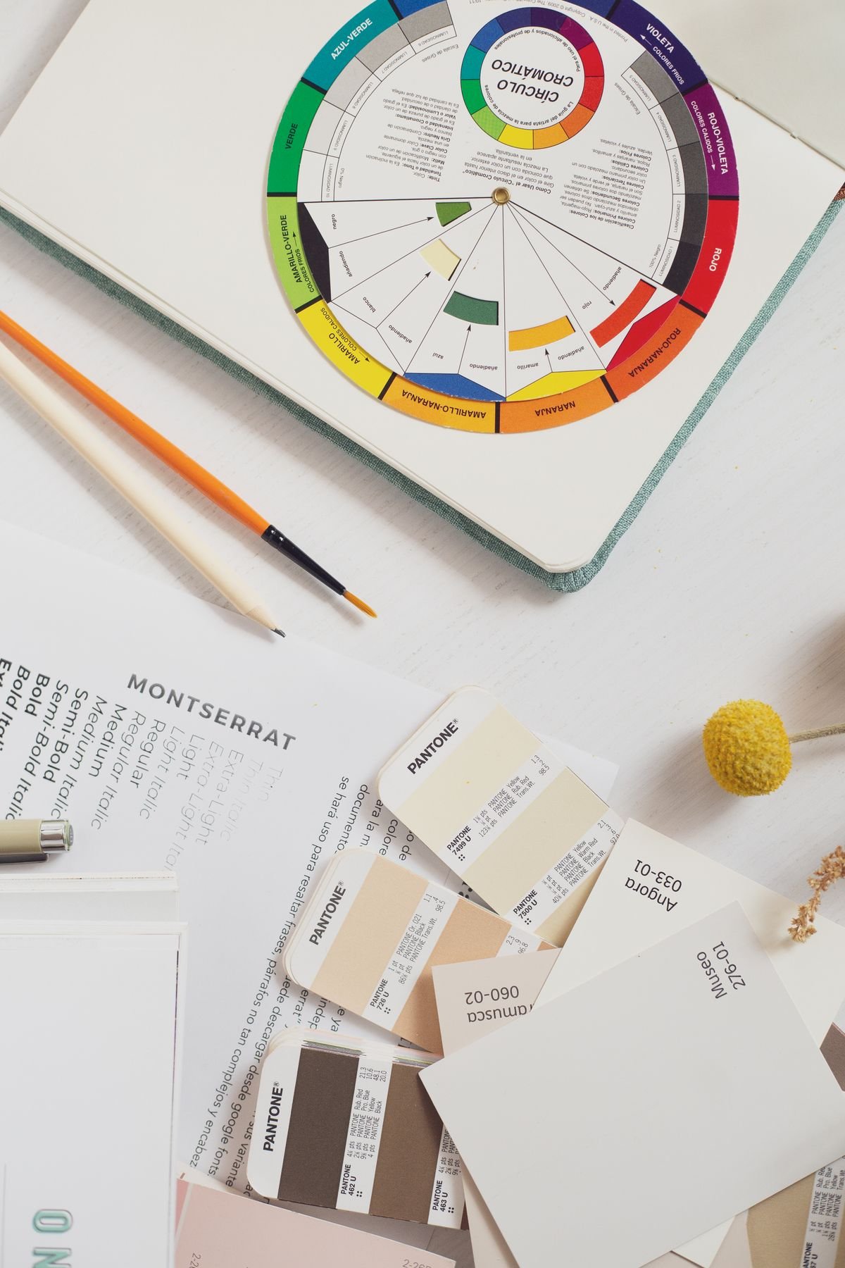 Brand Identity and Digital Guidelines 2 Creative design workspace with color swatches