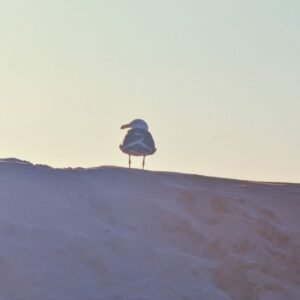 Workspace for improving business website messaging